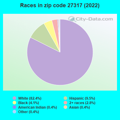 Races in zip code 27317 (2019)