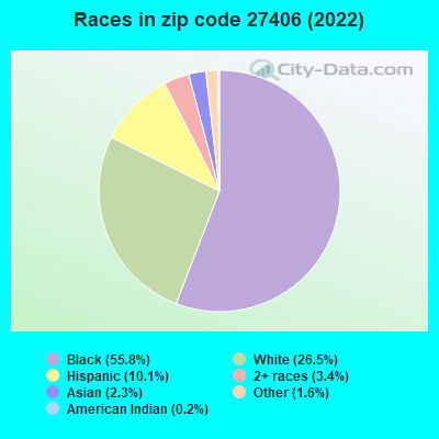 Races in zip code 27406 (2021)