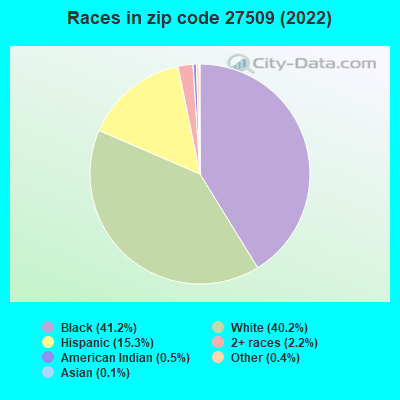 Races in zip code 27509 (2019)