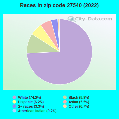 Races in zip code 27540 (2022)