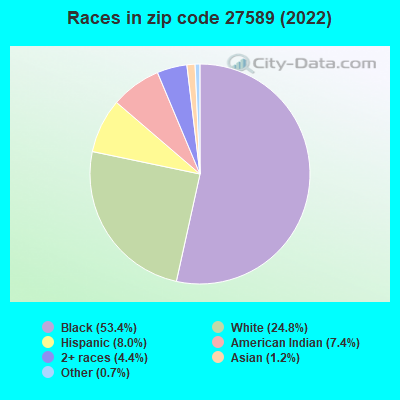 Races in zip code 27589 (2022)