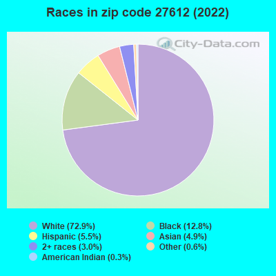 Races in zip code 27612 (2019)