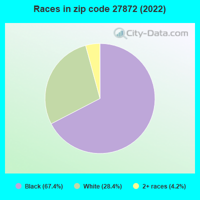 Races in zip code 27872 (2022)
