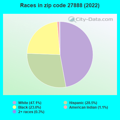 Races in zip code 27888 (2022)