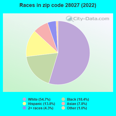 Races in zip code 28027 (2021)