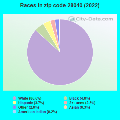 Races in zip code 28040 (2022)