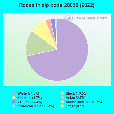 Races in zip code 28056 (2021)