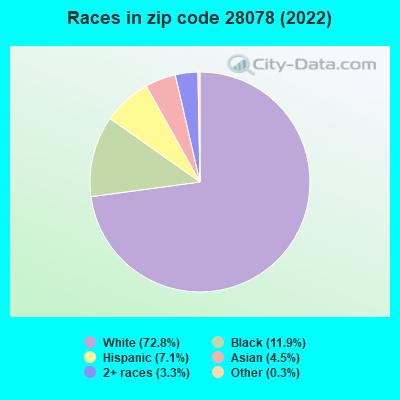 Races in zip code 28078 (2022)