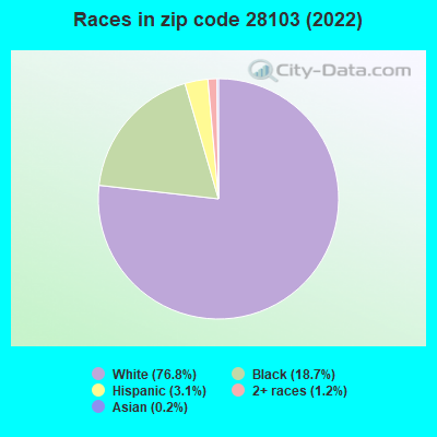Races in zip code 28103 (2022)