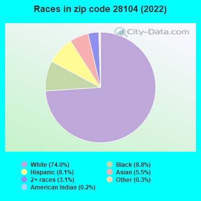 Races in zip code 28104 (2022)