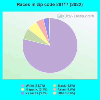 Races in zip code 28117 (2022)