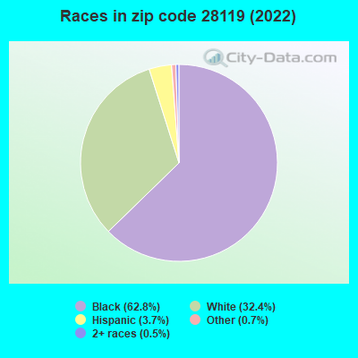 Races in zip code 28119 (2022)