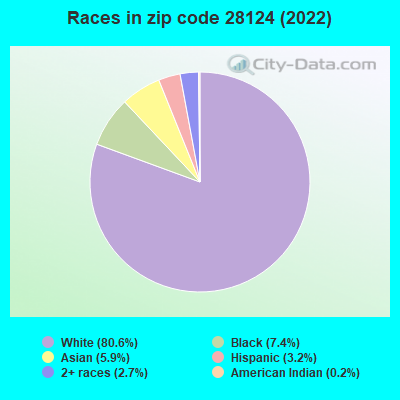 Races in zip code 28124 (2019)