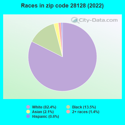 Races in zip code 28128 (2019)