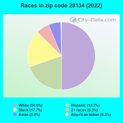 Races in zip code 28134 (2022)