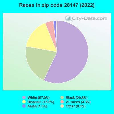 Races in zip code 28147 (2022)