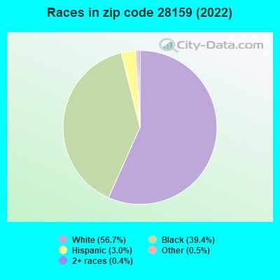 Races in zip code 28159 (2019)