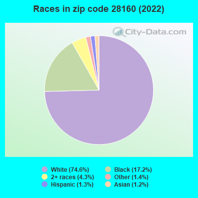 Races in zip code 28160 (2019)