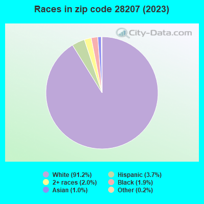Races in zip code 28207 (2019)