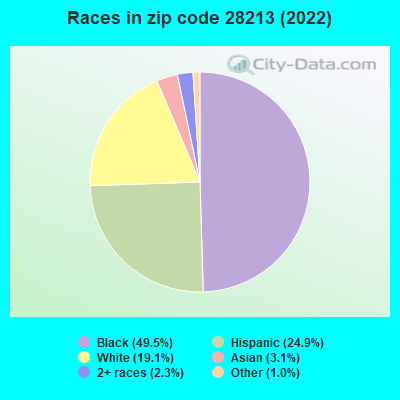 Races in zip code 28213 (2021)