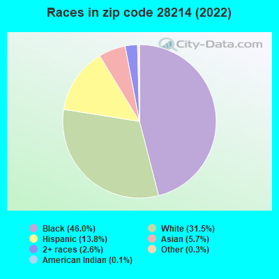 Races in zip code 28214 (2019)