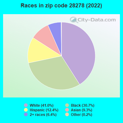Races in zip code 28278 (2022)