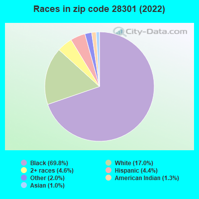Races in zip code 28301 (2022)