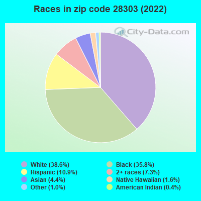 Races in zip code 28303 (2021)