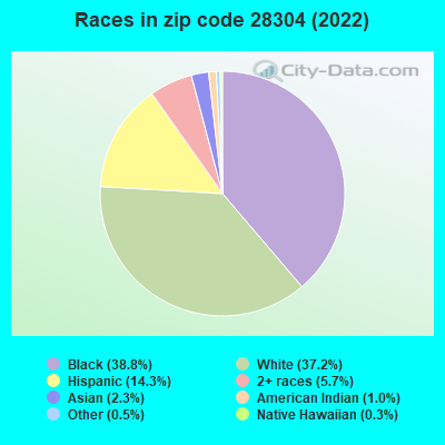 Races in zip code 28304 (2021)