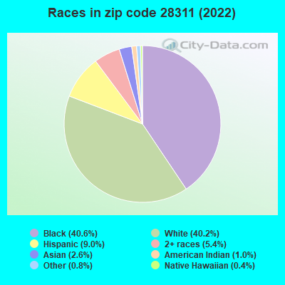 Races in zip code 28311 (2019)