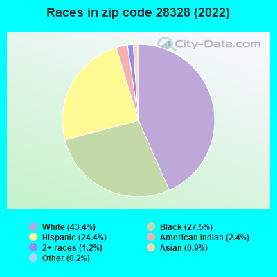 Races in zip code 28328 (2019)