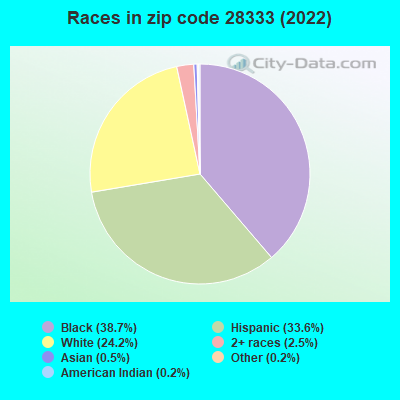 Races in zip code 28333 (2019)