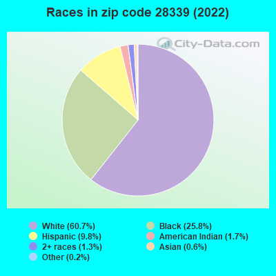 Races in zip code 28339 (2019)