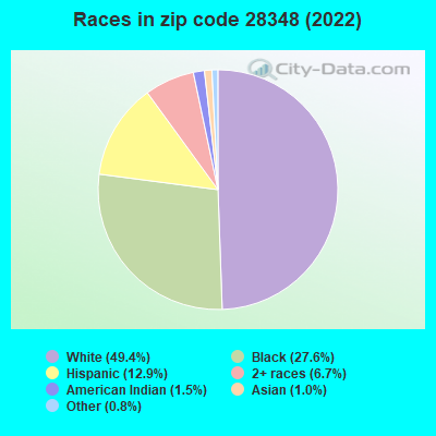 Races in zip code 28348 (2022)