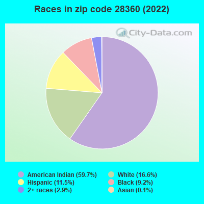 Races in zip code 28360 (2022)
