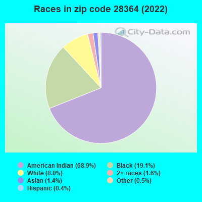 Races in zip code 28364 (2022)