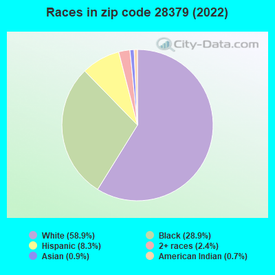 Races in zip code 28379 (2019)