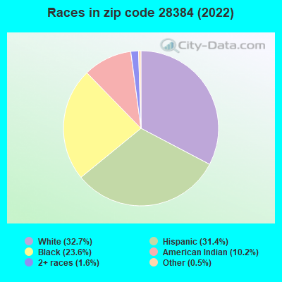 Races in zip code 28384 (2021)
