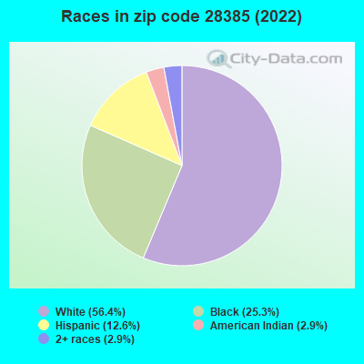 Races in zip code 28385 (2022)