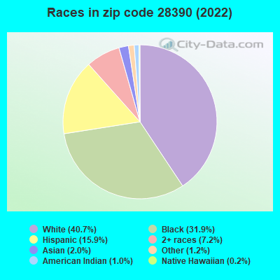 Races in zip code 28390 (2019)