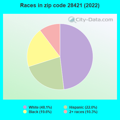 Races in zip code 28421 (2022)