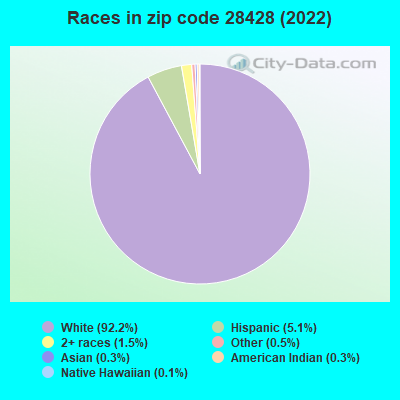 Races in zip code 28428 (2022)