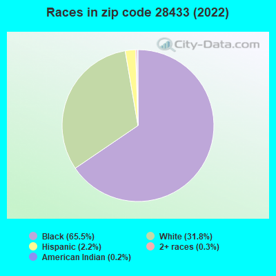 Races in zip code 28433 (2022)