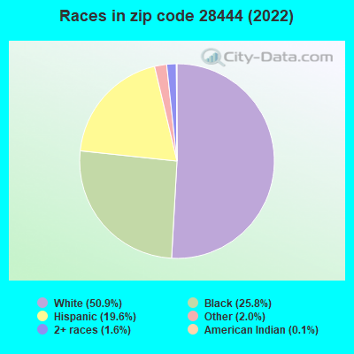 Races in zip code 28444 (2022)
