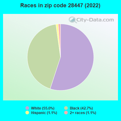 Races in zip code 28447 (2022)