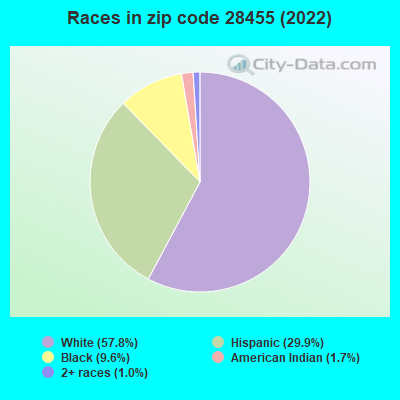 Races in zip code 28455 (2022)