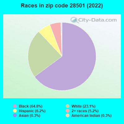 Races in zip code 28501 (2021)