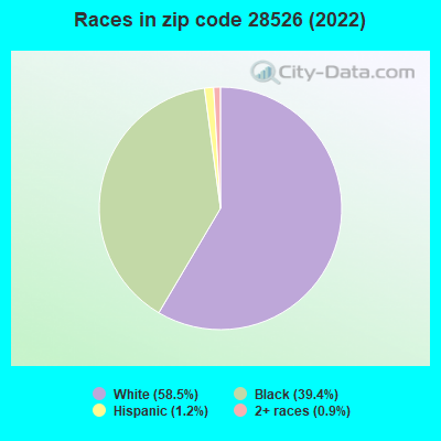 Races in zip code 28526 (2019)