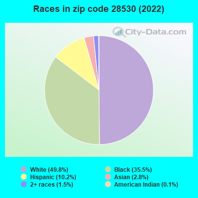 Races in zip code 28530 (2022)