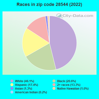 Races in zip code 28544 (2022)